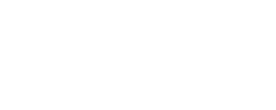 Neatspring - logo